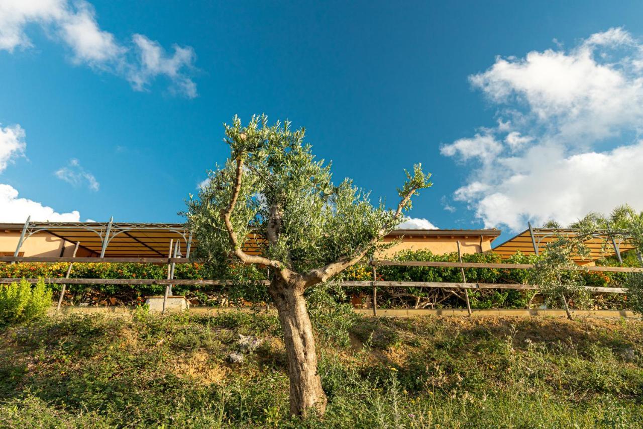 Solemar Sicilia - Le Casette Di Calzata Кампофеліче-ді-Роччелла Екстер'єр фото