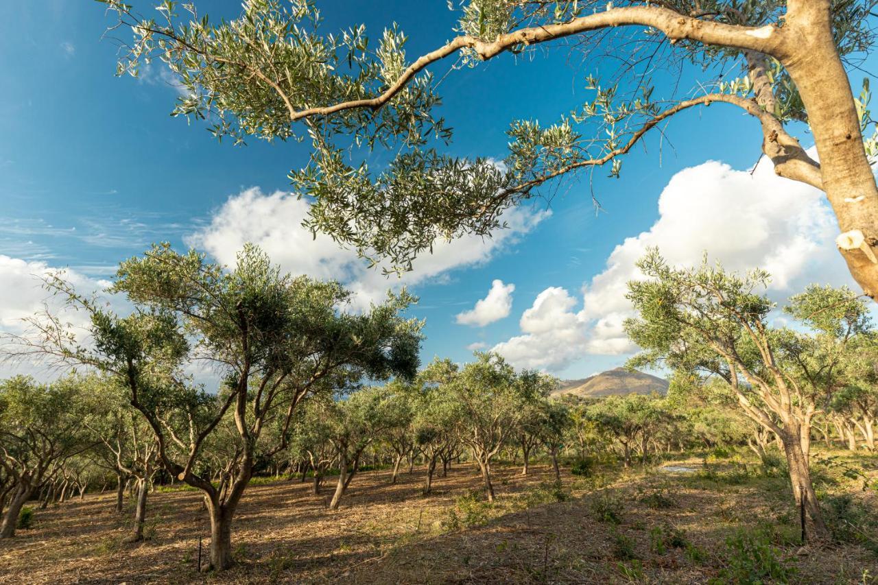 Solemar Sicilia - Le Casette Di Calzata Кампофеліче-ді-Роччелла Екстер'єр фото