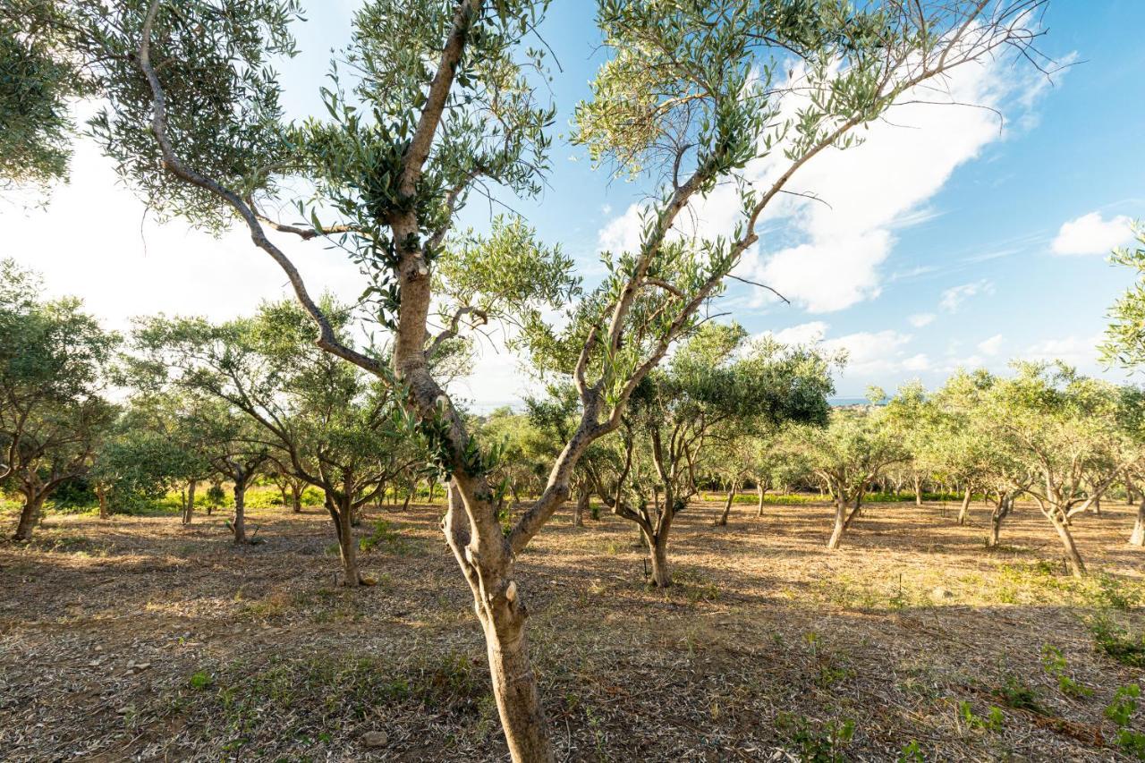 Solemar Sicilia - Le Casette Di Calzata Кампофеліче-ді-Роччелла Екстер'єр фото